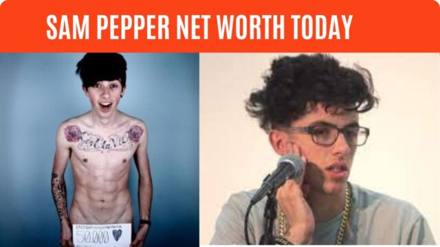 Sam Pepper Net Worth, Salary & Earnings